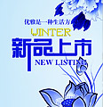 新品上市